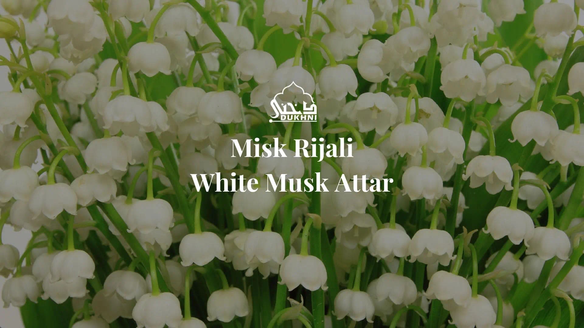 Dukhni Misk Rijali Attar Oil